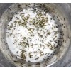 Free 8oz Tisbe Pods 3,000 + Live Amphipods 250 cnt.