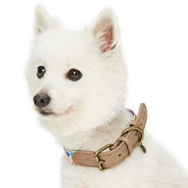 Blueberry Pet Shades of Rainbow Multicolor Triangles Genuine Full Grain Leather & Polyester Combo Adjustable Dog Collar, Large, Neck 18"-22"