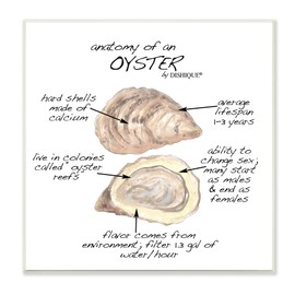 Stupell Industries Oyster Marine Life Anatomy Facts Educational Diagram, Design by Dishique