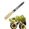 Wooden Handle Pumpkin Carving Tool and Vegetable Core Remover, Kitchen