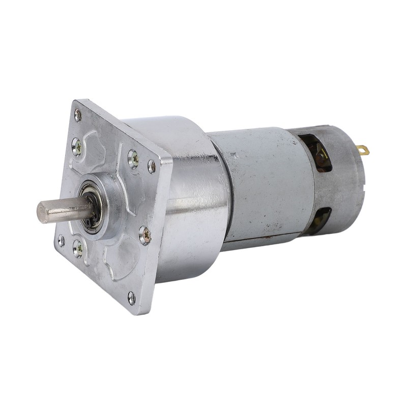 Gear Motor DC 24V 3.8A Speed Reduction Self Locking Reversible