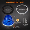 2PCS Watermelon Lights Strobe & Constant Dual Function Blue Auxiliary
