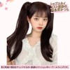 Cute Princess Ponytail Wig, 1 Piece, Inside Outfit, Long Extension,