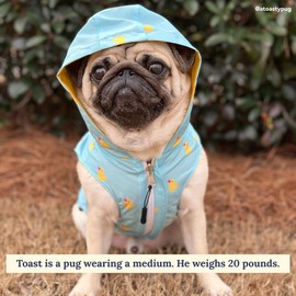 LUCY&CO. Lucky Ducky Reversible Raincoat - Size: 2XL