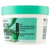 Garnier HAIR FOOD Aloe Maske