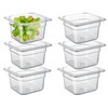 CURTA 6-Pack 1/6 Size 4" Deep NSF Polycarbonate Food Pans