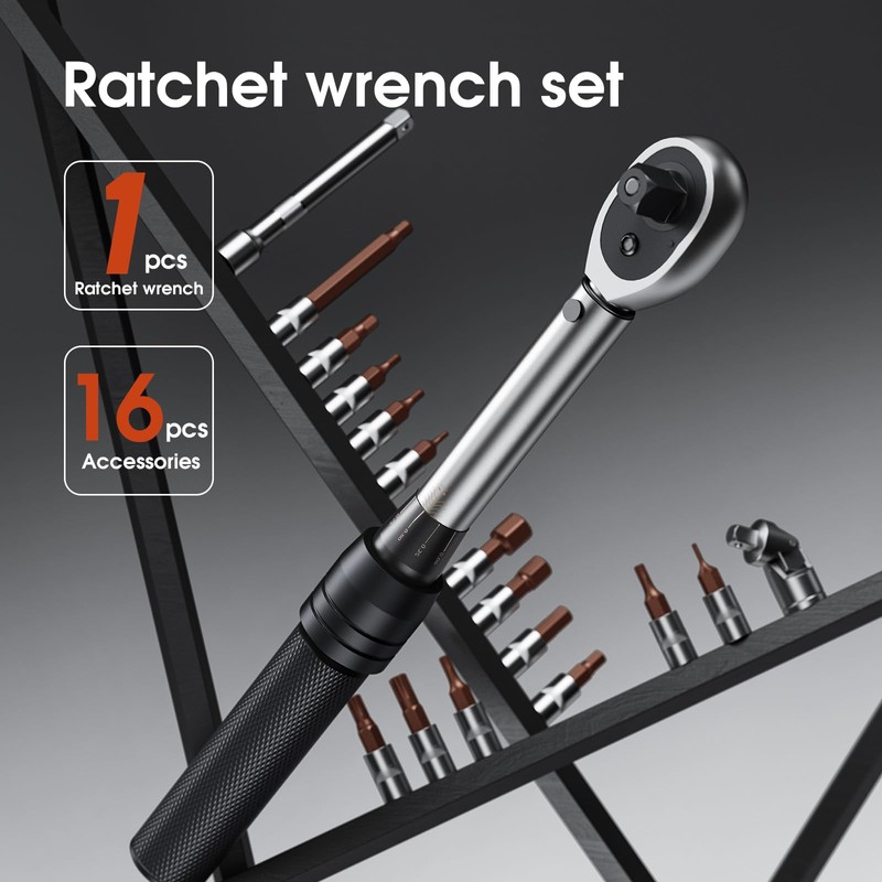 DSBYKJ 17 Piece Small Torque Wrench Set (5-30nm), 1/4" Drive