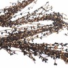 KMI Gorgeous Primitive 55" TAN and BLACK Pip Rice Berry GARLAND Flexible & Bendable
