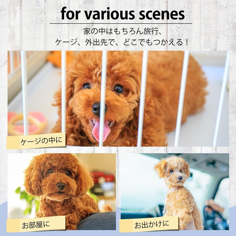 Amazing Harmony Pet Sheet, Rectangle, Pet Sheet, Pet Mat, Toilet