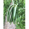 InterVanilla Genuine Tahiti Vanilla Beans, Pack of 2 13-15 cm
