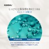 [KUNDAL] Cool & Clear Refresh Shampoo #Aquamine Cool & Clear