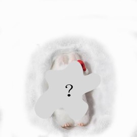 FYJCXCMP Labu Plush Pendant, Cute Monster Toy Doll, Blind Box, Perfect for Backpack Decoration, Car Keyring and Children's Birthday Gifts (B)