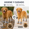 Zapatos para Perros Transpirables,4 Piezas Botas para Perro Transpirable Antideslizantes,Suelas