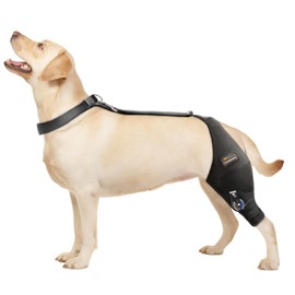 CHAMIN Adjustable Dog Knee Brace for Torn ACL Hind Leg, Support for Tear Ligament, Osteoarthritis, Rear Leg Limp, Recovery After Surgery,et(Left Leg,L)