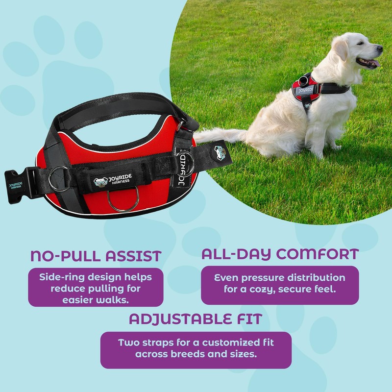 Joyride Harness 2.0 - The Original Side Ring No Pull