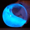 The Living Bioluminescent Bio-Orb - a Living Glass Sphere Powered