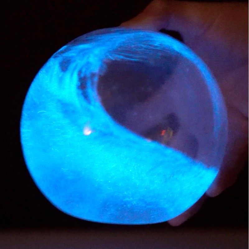 The Living Bioluminescent Bio-Orb - a Living Glass Sphere Powered