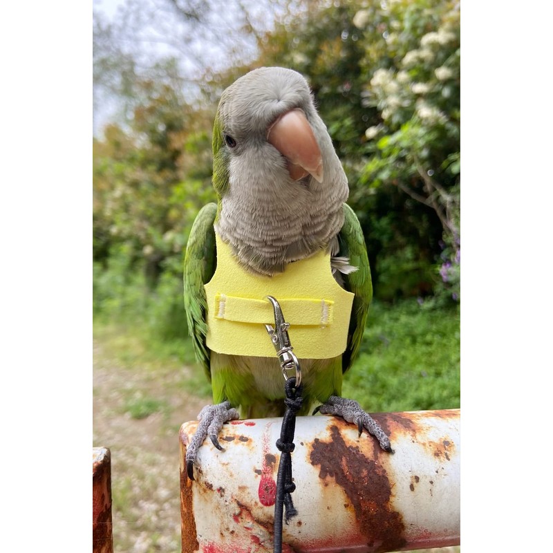 HEZHUO Bird Flight Harness Vest, Parrot Flight Suit with Leash