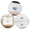 Amogeeli 4pcs Abalone Shell Brass Cabinet Knobs Set with Screws,