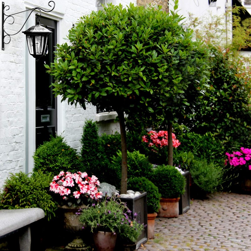 KABB Pack of 2 Black Iron Outdoor Hanging Brackets Wall