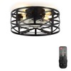Conciseer 16 Inch Caged Ceiling Fans with Lights and Remote,
