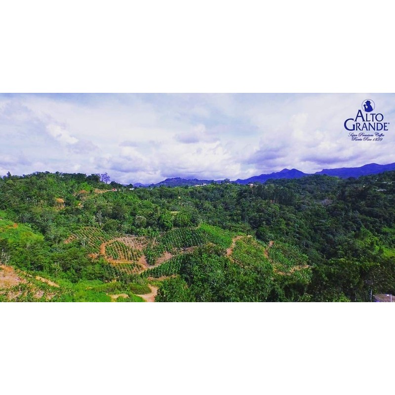 Alto Grande Super Premium Coffee Ground 8.8 Ounces - 2