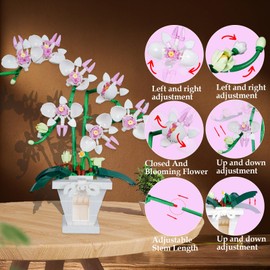 Disracker Orchid Flower Building Set - Artificial Bonsai Decor Building Block Set for Home & Office Decor - Realistic Orchid Model Kit, Unique Gift for Adults
