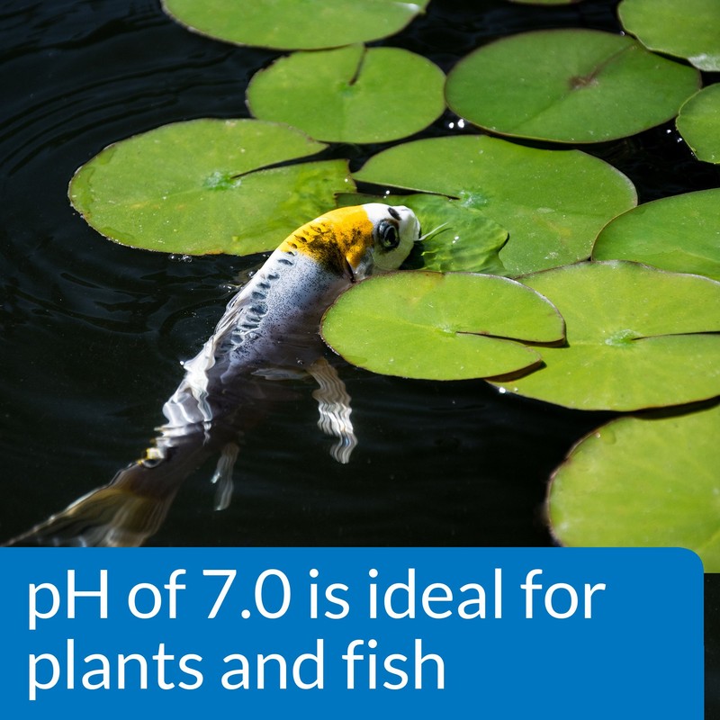 API POND WIDE RANGE pH TEST KIT 160-Test Pond Water
