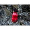Kids Water Bottle - 350ml, Red | Stainless Steel |