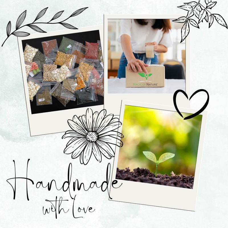 Gift propagation set: Blossom Magic 5 Continents Box - for