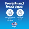 Clorox® Pool&Spa™ Swimming Pool Algaecide, Prevents and Treats Pool Algae,