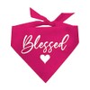 Blessed Thanksgiving Dog Bandana (Hot Pink, OS 277)