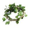 Reptile Climbing Branch Flexible Jungle 3.28ft Rattan 1Pc Vine(3.28ft Rattan+Scindapsus