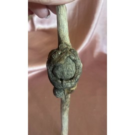 American Pine Burl Wood All Small Sizes For Wood Crafts Carving Drawer Knobs Live Edge