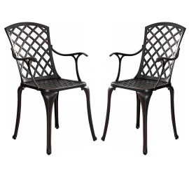 Withniture Outdoor Patio Dining Chairs, Cast Aluminum  Patio Chair Set 2 for Garden Bronze