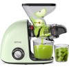 Slow Masticating Cold Press Juicer Machines for Fruit Vegetable, Juice