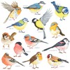 DECOWALL DS-8038 Small Birds Wall Sticker, Wall Decoration for Living