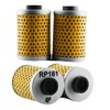 RP Filters RP161 Motorcycle Oil Filter