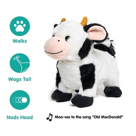 Cuddle Barn - Barnyard Buddies Cow | Animated Singing Cow Plush Stuffed Animal | Walks and Wags Tail to Old Macdonald, 8 inches
