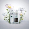 Lux Premium Botanifique Treatment Balanced Pure Hair Mask (Wash Out