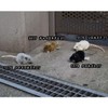 Brown Mouse Stuffed Animal Plush Toy 5" L