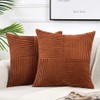 Fancy Homi 2 Packs Rust Big Decorative Throw Pillow Covers