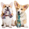 SHARLOVY Juguete de Cuerda de Perro de 2 Paquetes para