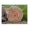 ProdBuy Home Cute Hedgehogs In Log Resin Garden Ornament