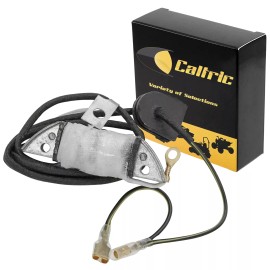 Celox Stator for Suzuki LT-A50 Quadmaster LTA50 2002 2003 2004 2005 Primary Coil Assy