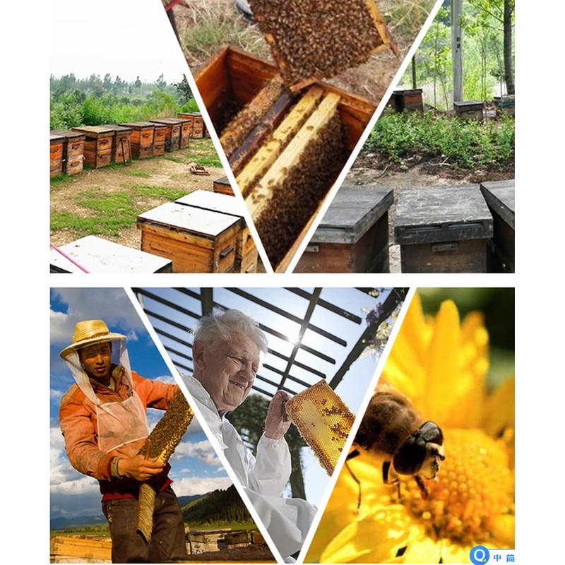Bee Hive Box, Beeswax Coated Deep Brood Box, Wooden Frames