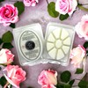 LUXX® Natural Coconut Wax Melts ~85g (Peony & Blush Suede)