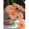 Crepe Paper Flower Daisy DIY Making Kit 12 pcs (Orange)