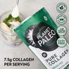 Planet Paleo Pure Collagen Powder (60 Servings, 450g) | for