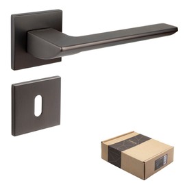 APECS Door Handles Interior Doors Modern Door Handle for Front Door and Interior Door with Square Rosettes Door Handle Graphite Matt Handle Set with Mounting Material Door Fitting Model ELECTRA BB -